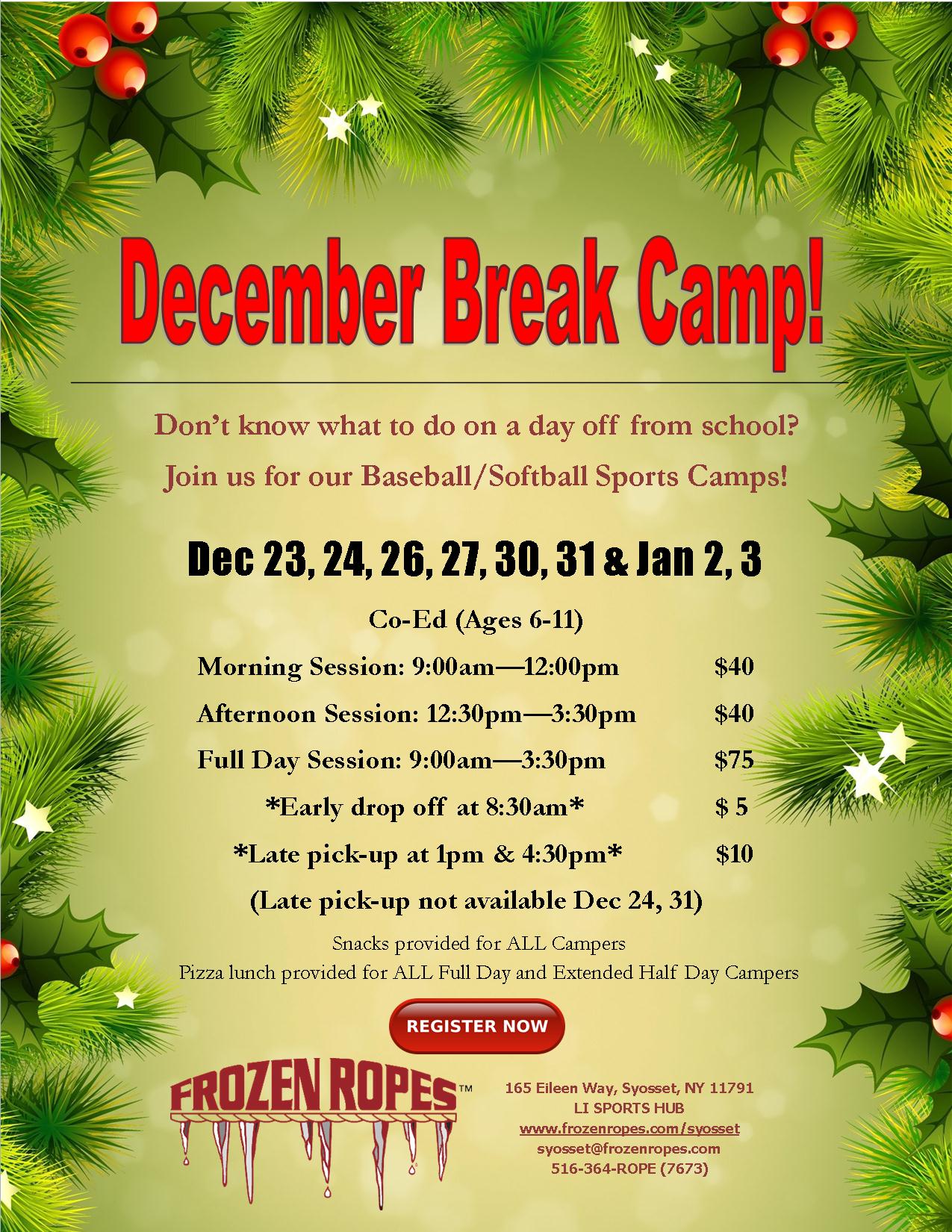 Christmas Break Flyer 2019 Frozen Ropes Syosset, NY