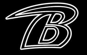 blackhawks baseball logo